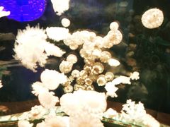 -多彩贵州城极地海洋世界