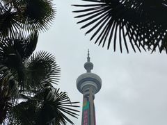 -南京古林公园