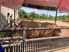 -鄂尔多斯野生动物园