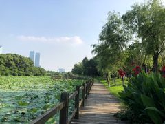 -艾溪湖湿地公园