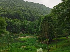 -桃花岭景区
