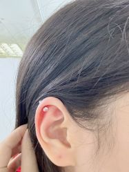-花师傅