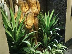 -素可汤泉(天宝大厦店)