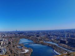 -中央广播电视塔