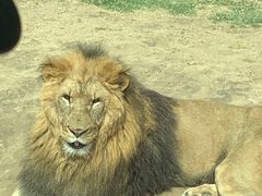 -北京野生动物园