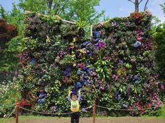 -武汉园博园(武汉自然博物馆)