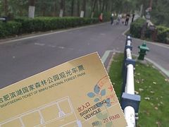 -合肥滨湖国家森林公园