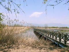 -野鸭湖国家湿地公园