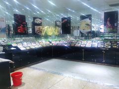 -宝燕壹号(徐汇店)
