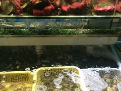 -鑫悦楼煎蟹·16年海鲜大排档