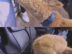 -磁器口古镇