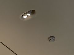 -Seesaw Coffee(上生新所店)