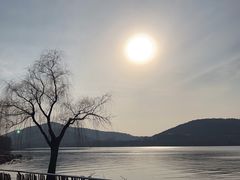 -长广溪湿地公园