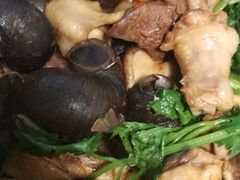 -食爺炭炉鸡煲·烧烤
