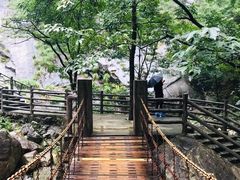 -大鄣山卧龙谷景区