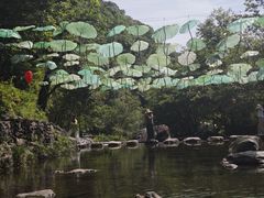 -石台牯牛降景区
