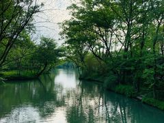 -西溪国家湿地公园