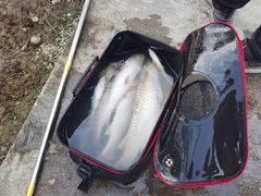 -南沙十九涌渔人码头-南门