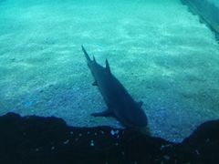 -常州海昌海洋探索馆