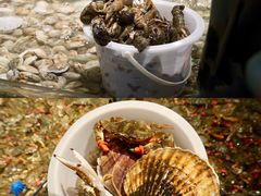 海鲜汇-钱库里海鲜自助(星海广场店)