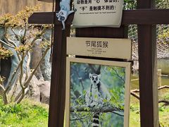 -常州淹城野生动物世界