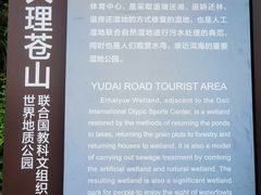 -洱海月湿地公园