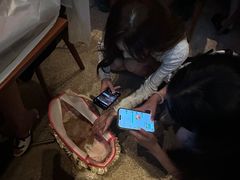 -薄荷花园音乐餐厅(邯郸店)