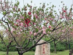 -沁旺达·福建海鲜(马连道店)