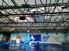 -石林冰雪海洋世界