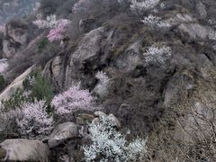 -北京凤凰岭