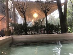 -乐领拈花溪·林涧食韵