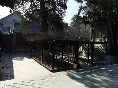 -大觉寺-停车场
