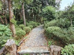 -深圳仙湖植物园