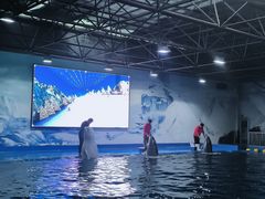 -石林冰雪海洋世界