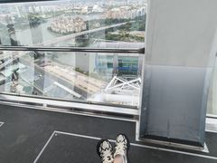 -新加坡摩天观景轮