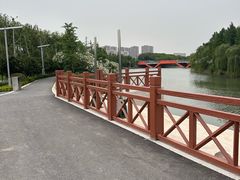 -皇粮浜湿地公园