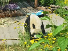 -大连森林动物园