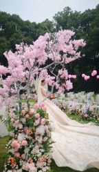 -艾米丽婚纱礼服