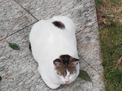 -江门古兜温泉小镇
