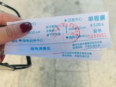 -广东惠东海龟国家级自然保护区