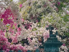 -深圳国际园林花卉博览园