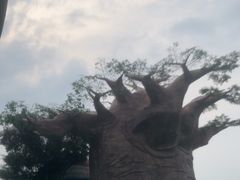 -苏州湾梦幻水世界