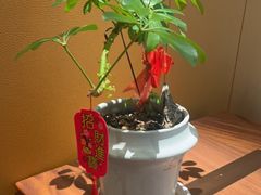 -徐记海鲜(高铁南站|沙湾公园店)