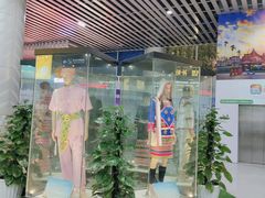 -西双版纳原始森林公园