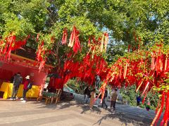 -西双版纳勐泐文化旅游区