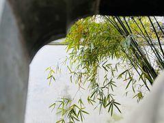 -个园