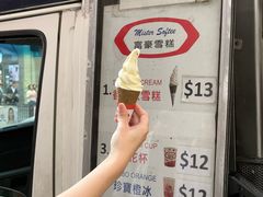 -富豪雪糕车流动点(尖沙咀店)