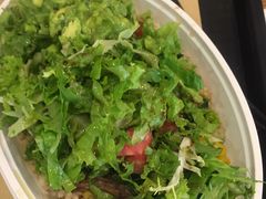 -油梨树 AVOCADO TREE(亮马桥店)