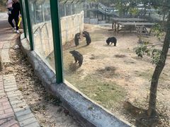 -泉州海丝野生动物世界