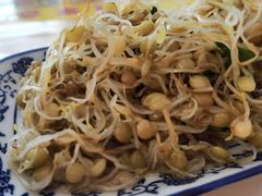 凉拌豆芽-夏家合汁(天润花园小区店)